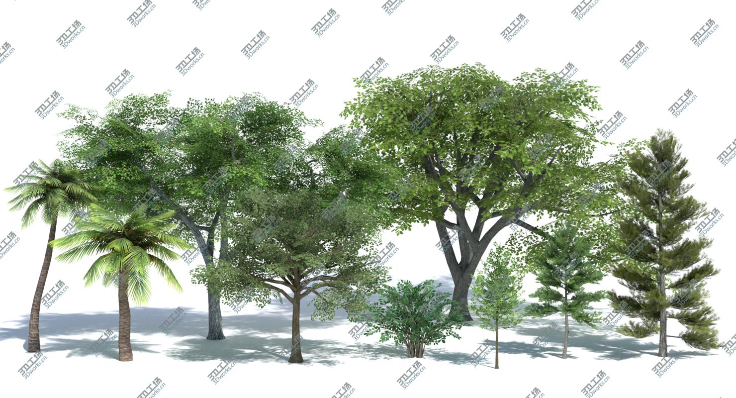 images/goods_img/20210113/Low Poly Tree Set/2.jpg